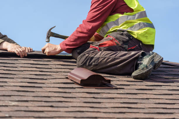 Professional Roofing Contractor in Pinetops, NC