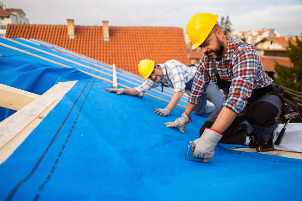 Best Roof Maintenance Services  in Pinetops, NC